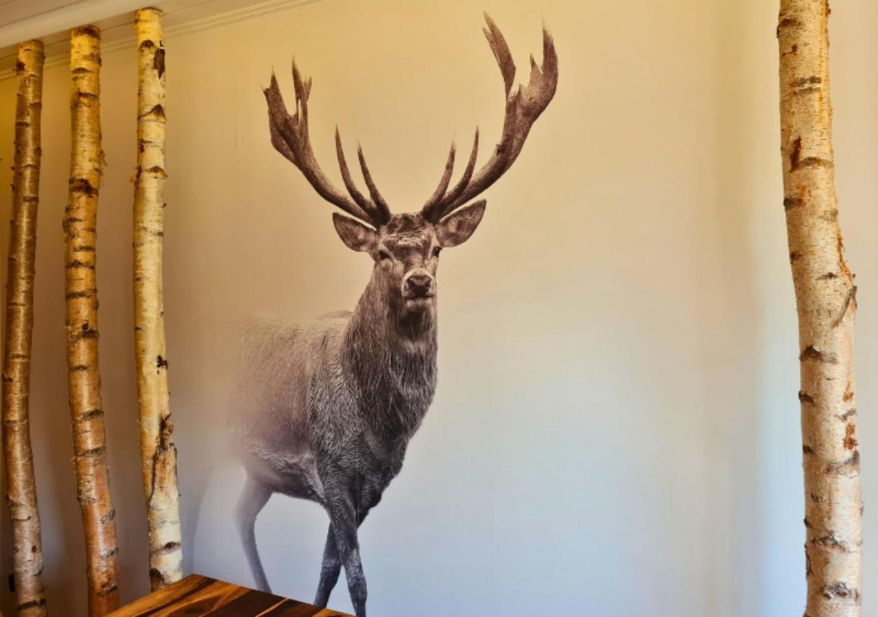 Hotel Harzresidenz Thale Luaran gambar
